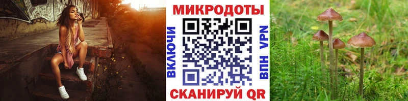 Псилоцибиновые грибы Cubensis Одинцово